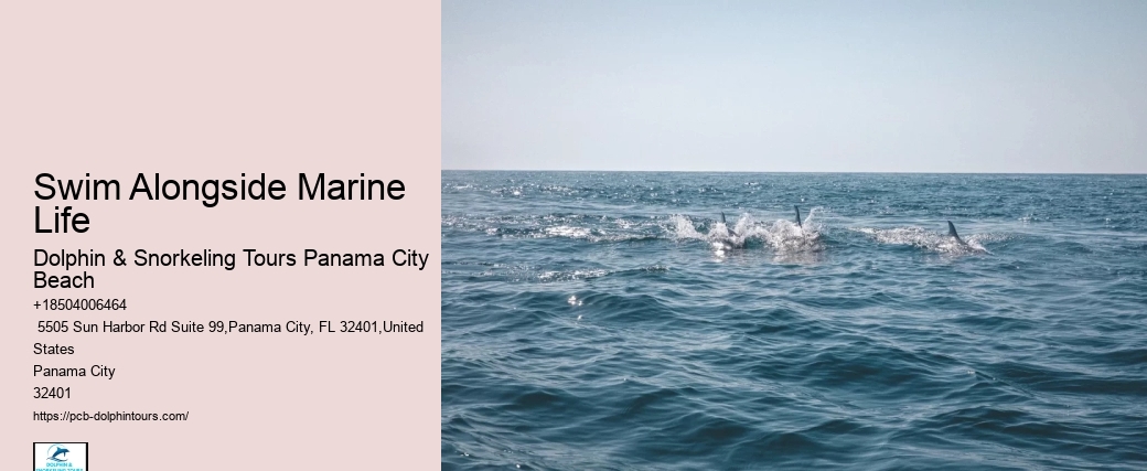 Sea