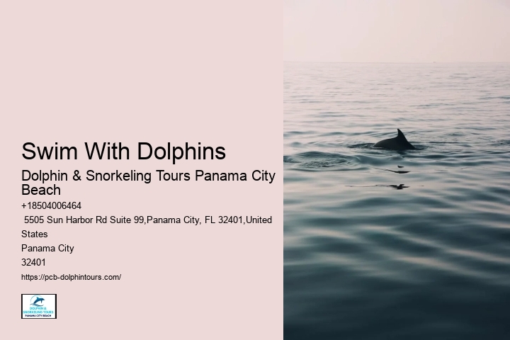 Does Panama City Beach Have Good Snorkeling