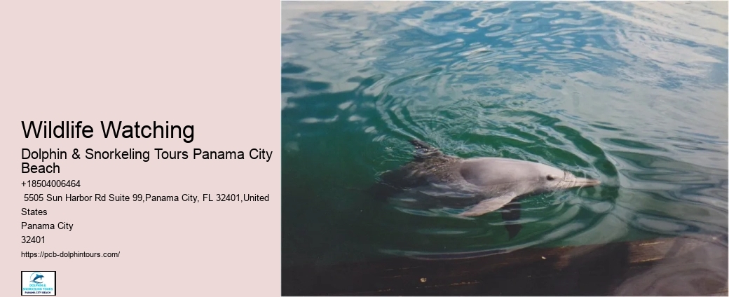 Tours Panama City Beach