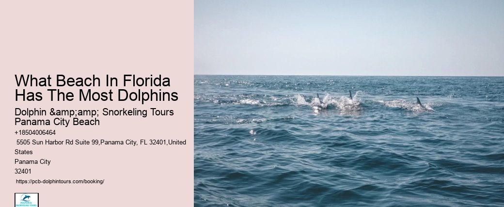 Do Dolphins Like To Be Petted